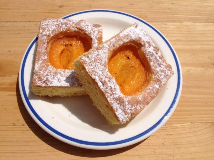 PORZIONI DI TORTA D'ALBICOCCHA